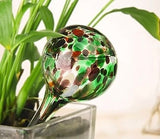 Glass Watering Globes