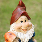 Funny Garden Gnomes