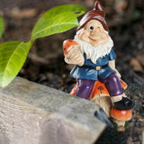 Funny Garden Gnomes