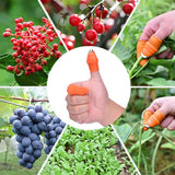 Harvesting Plant Blade