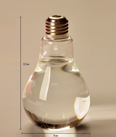 Light Bulb Glass Vase