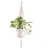 Plant Hangers