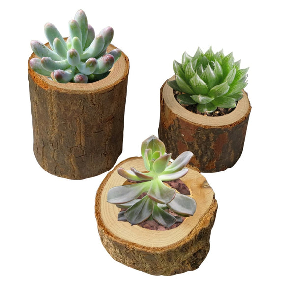3 Size Hollow Wood Planter