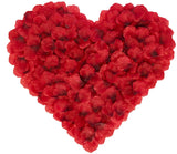 1000pc Artificial Rose Silk Petals