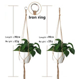 Plant Hangers