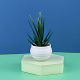 Mini Artificial Plants