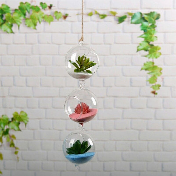 Glass Vase Terrarium